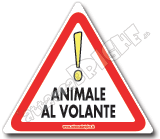 ANIMALE AL VOLANTE